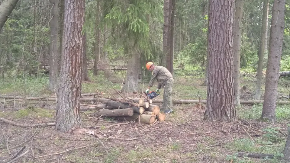 Фото: t.me/mosoblcomles