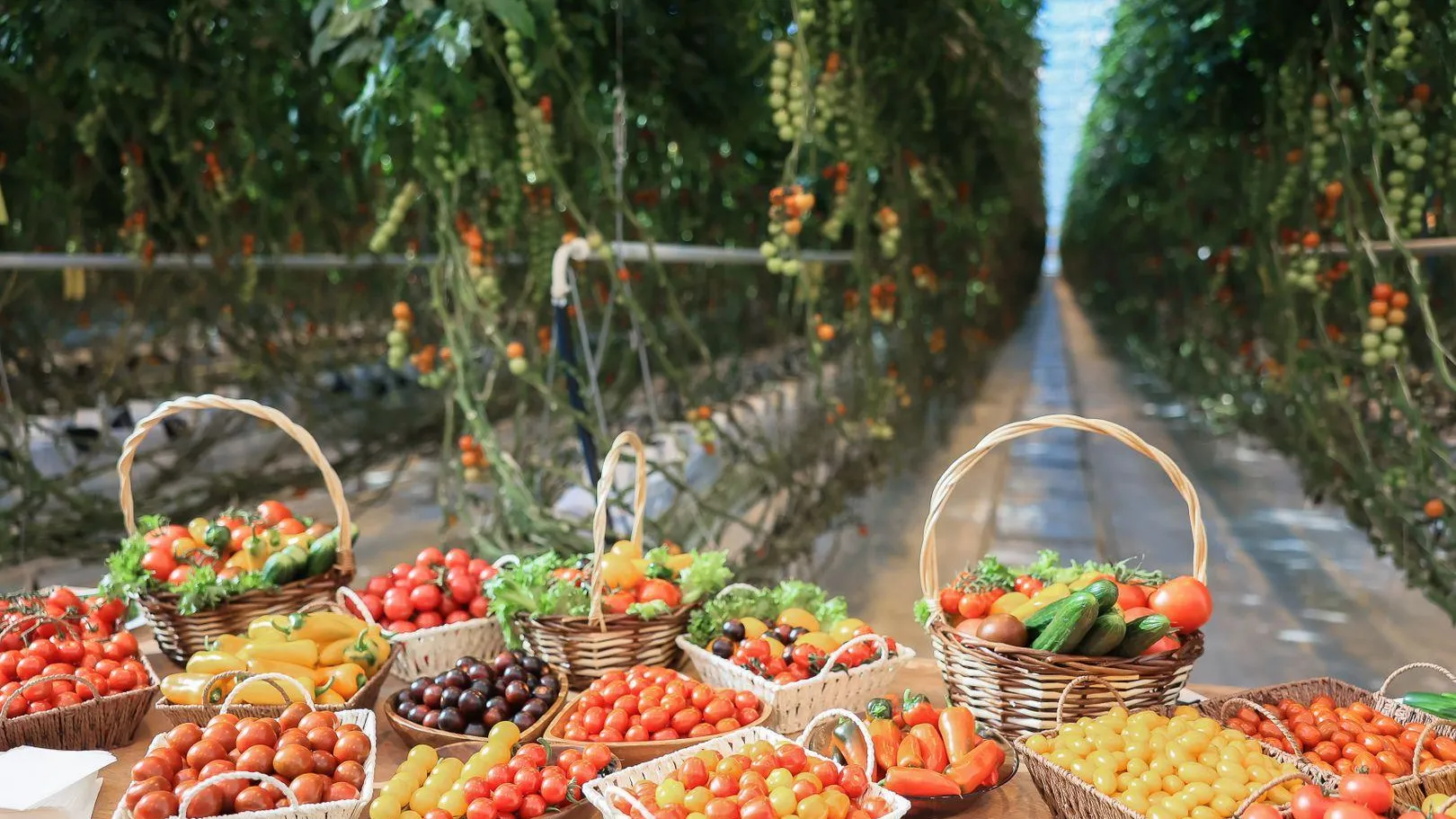 медиасток.рф