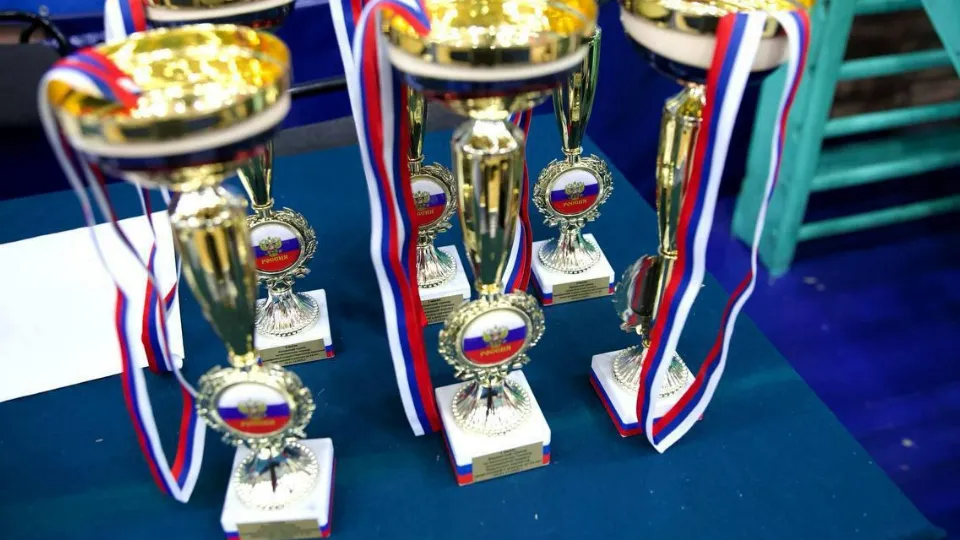 Фото: пресс-служба администрации г. о. Подольск