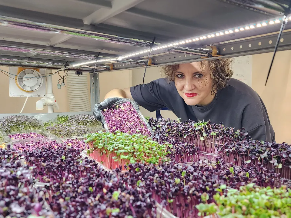Фото: МедиаБанк Подмосковья/Андрей Алекин