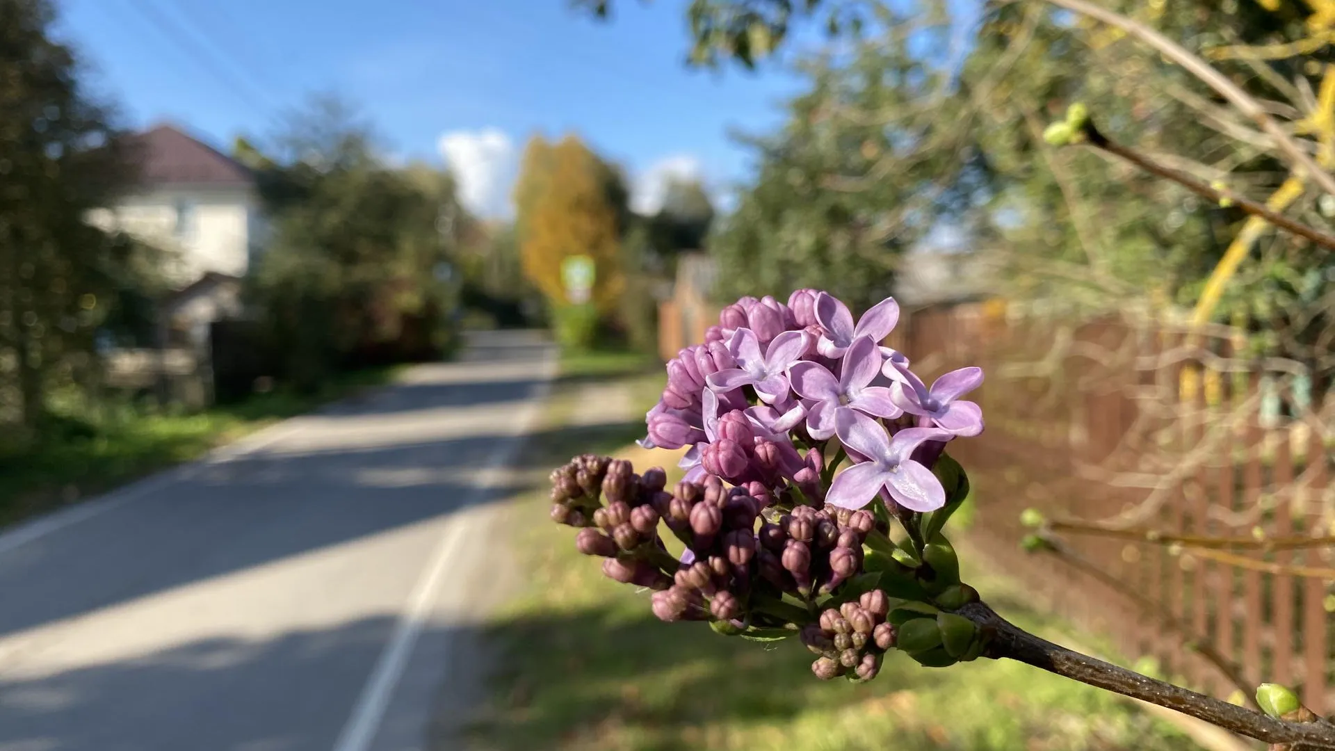 Дарья Шапочкина