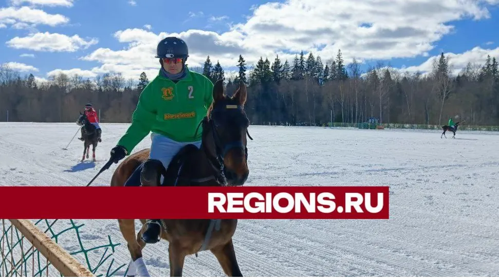 Фото: Евгений Рой