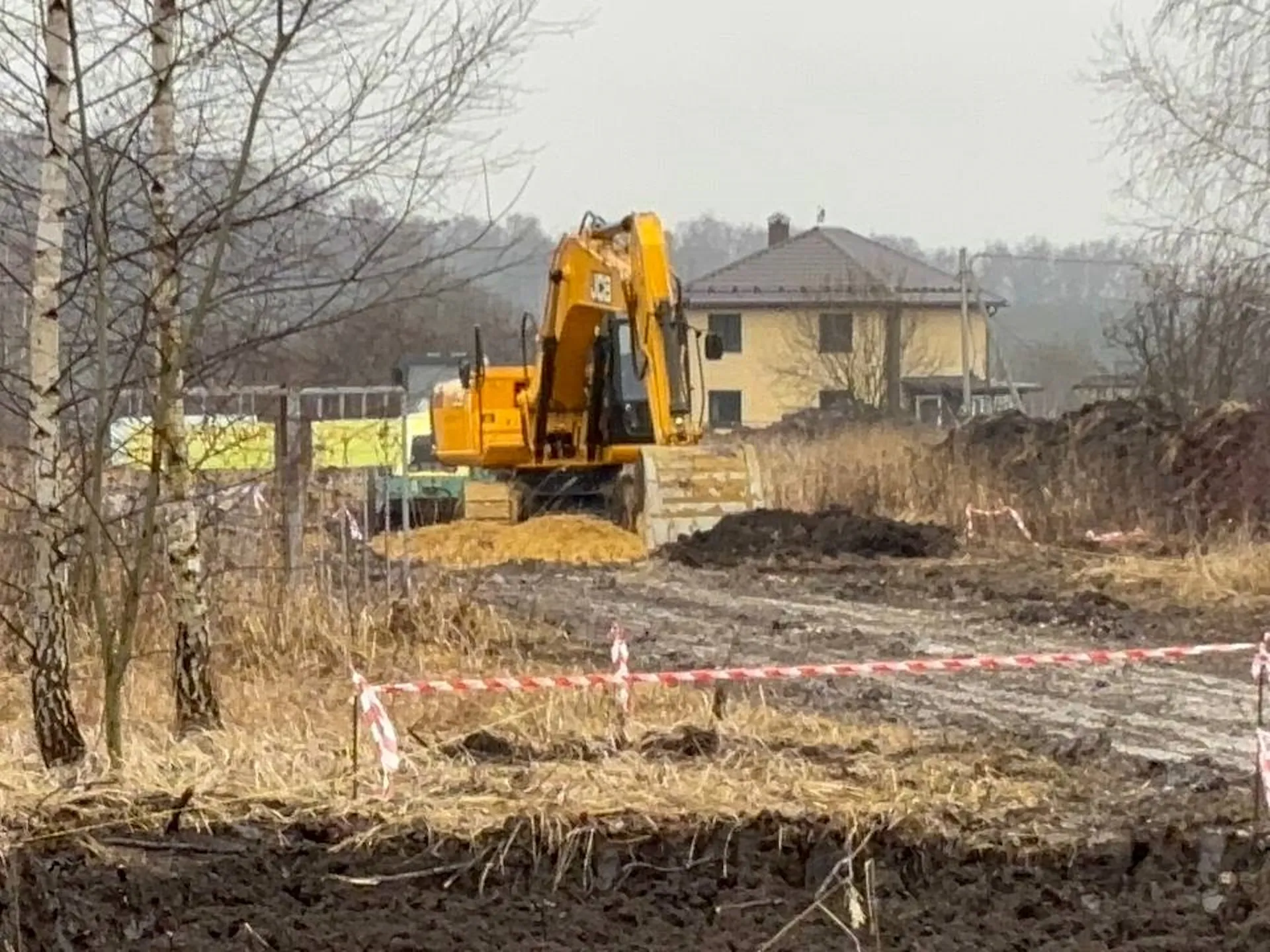 Фото: Светлана Плотникова