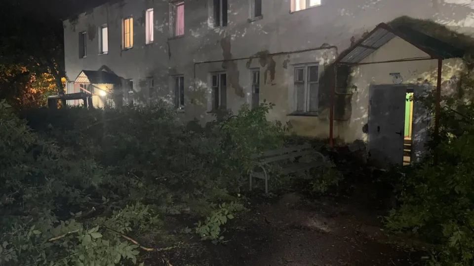 Фото: ГКУ МО «Мособлпожспас»