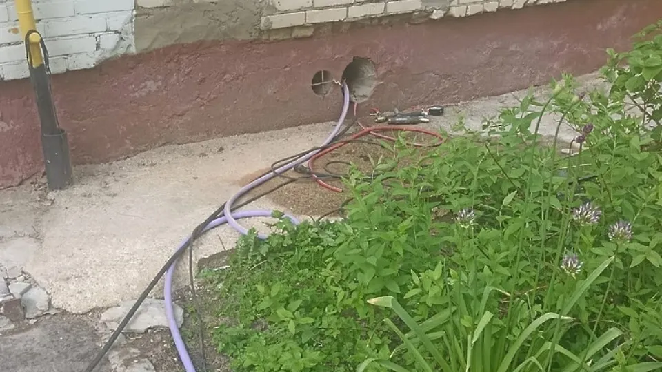 Фото: Администрация городского округа Истра