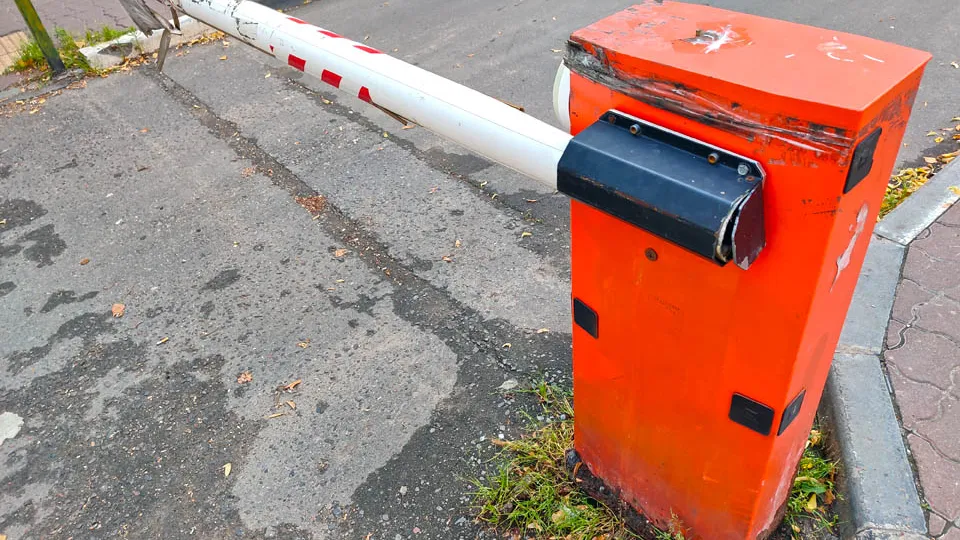 Фото: REGIONS/Дмитрий Кравцов