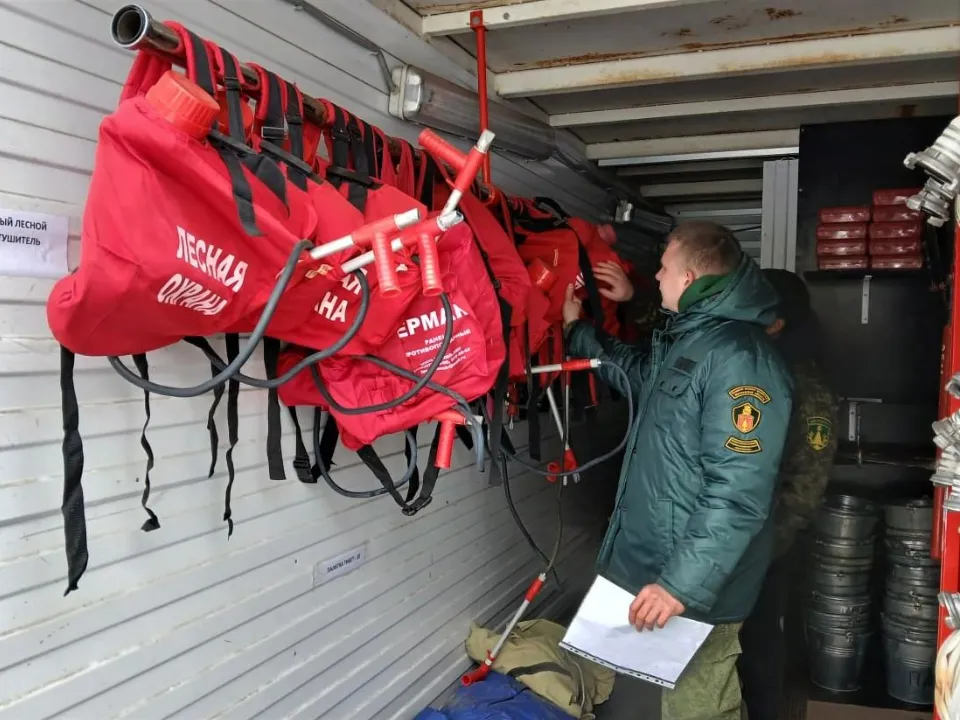 Фото: Комитет лесного хозяйства Московской области