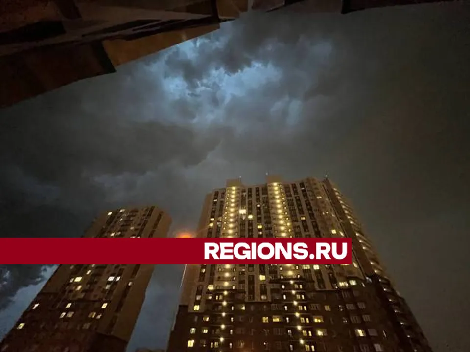 Фото: Александра Загороднова