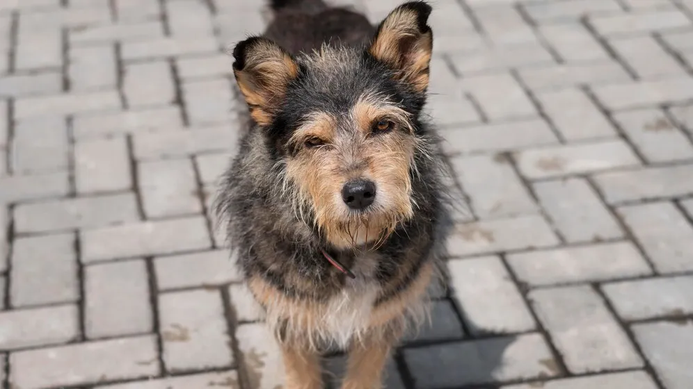 Фото: freepik.com