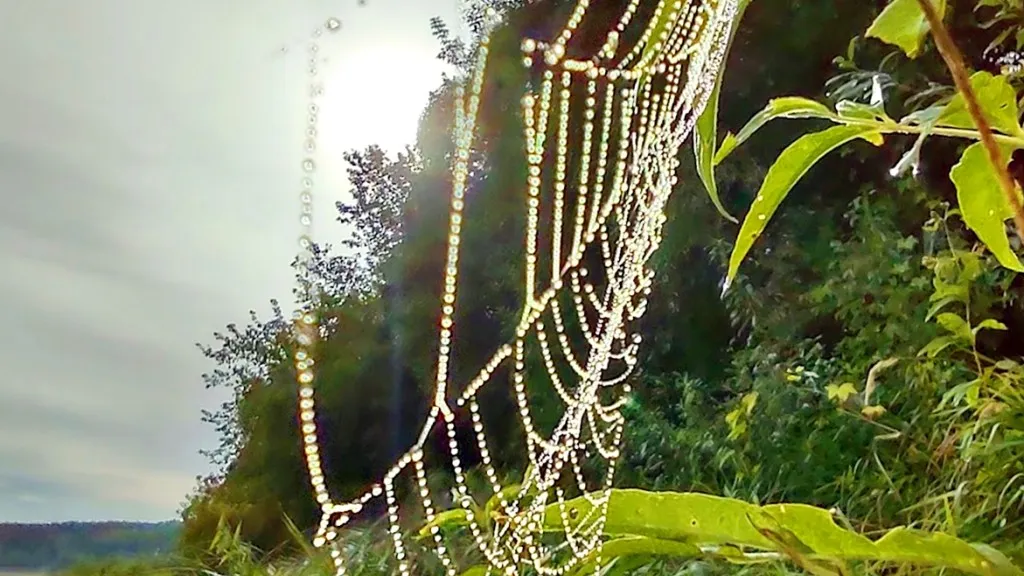 Фото: REGIONS/Алексей Селиверстов