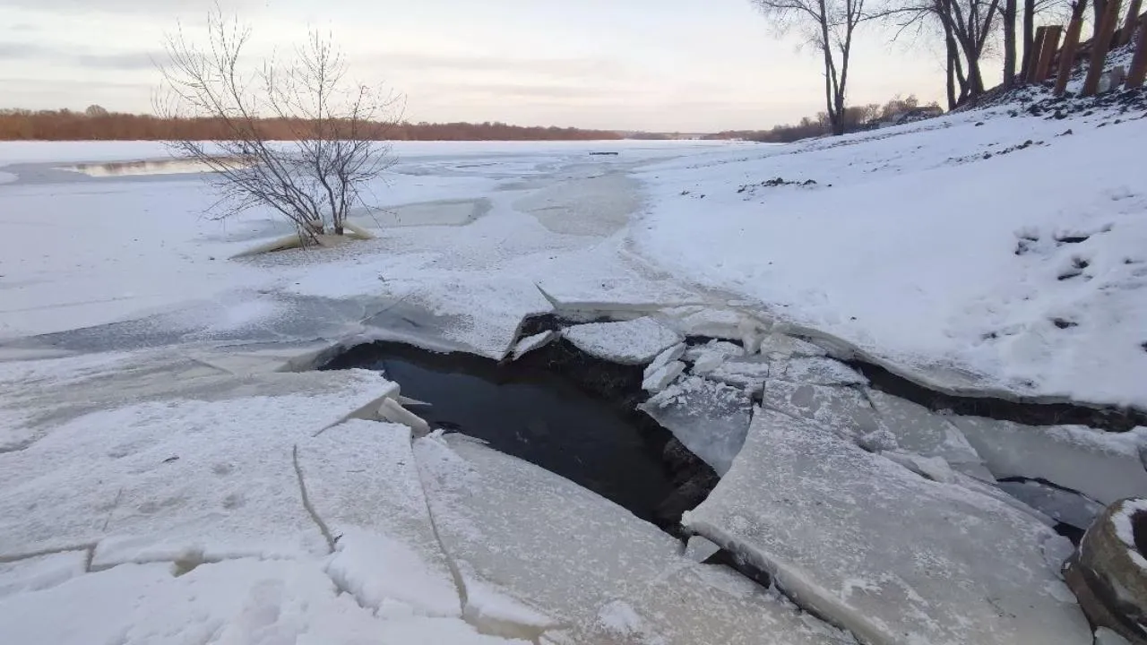 МедиаБанк Подмосковья/Александр Зель