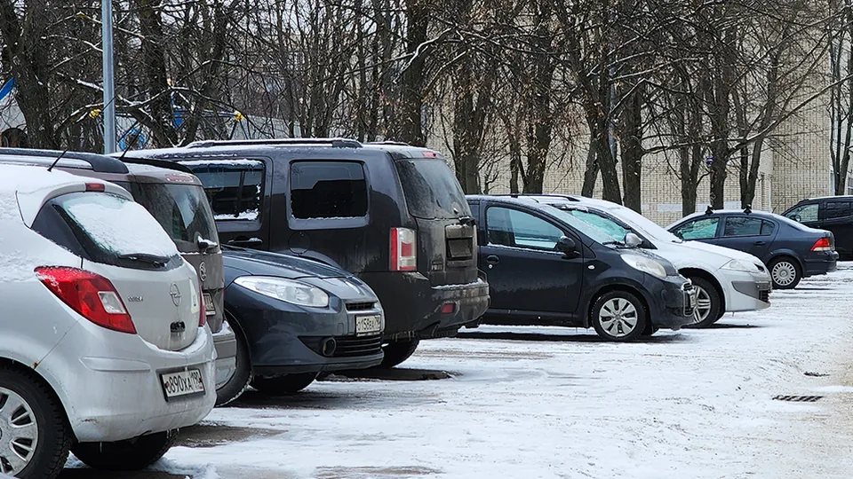 Фото: МедиаБанк Подмосковья/Иван Петрушин