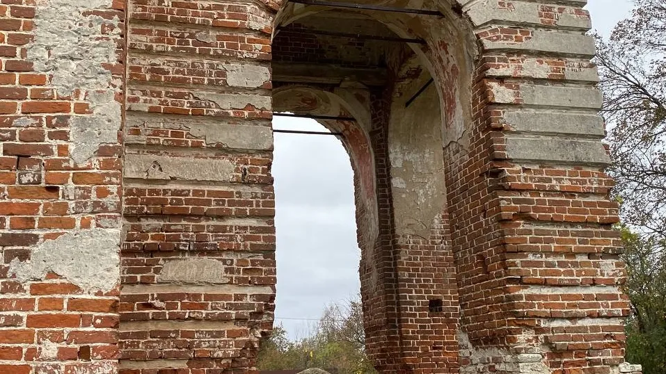 Фото: Медиабанк Подмосковья/Дарья Шапочкина