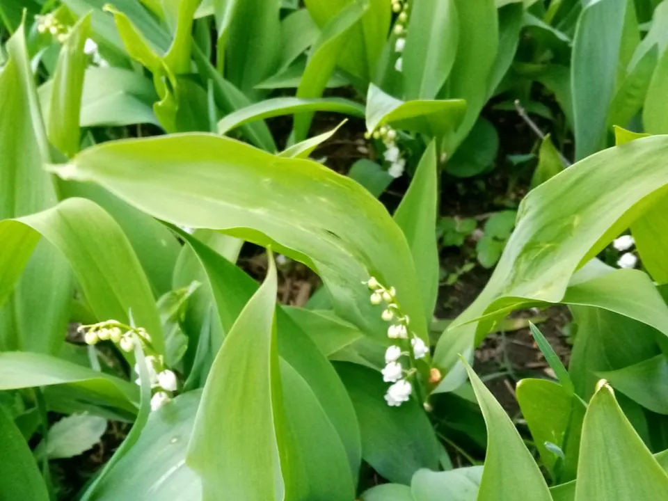 Фото: Елена Быховская