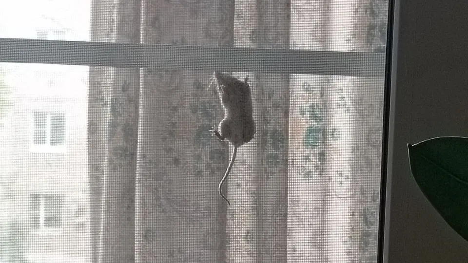 Фото: REGIONS/Виктория Гордеева