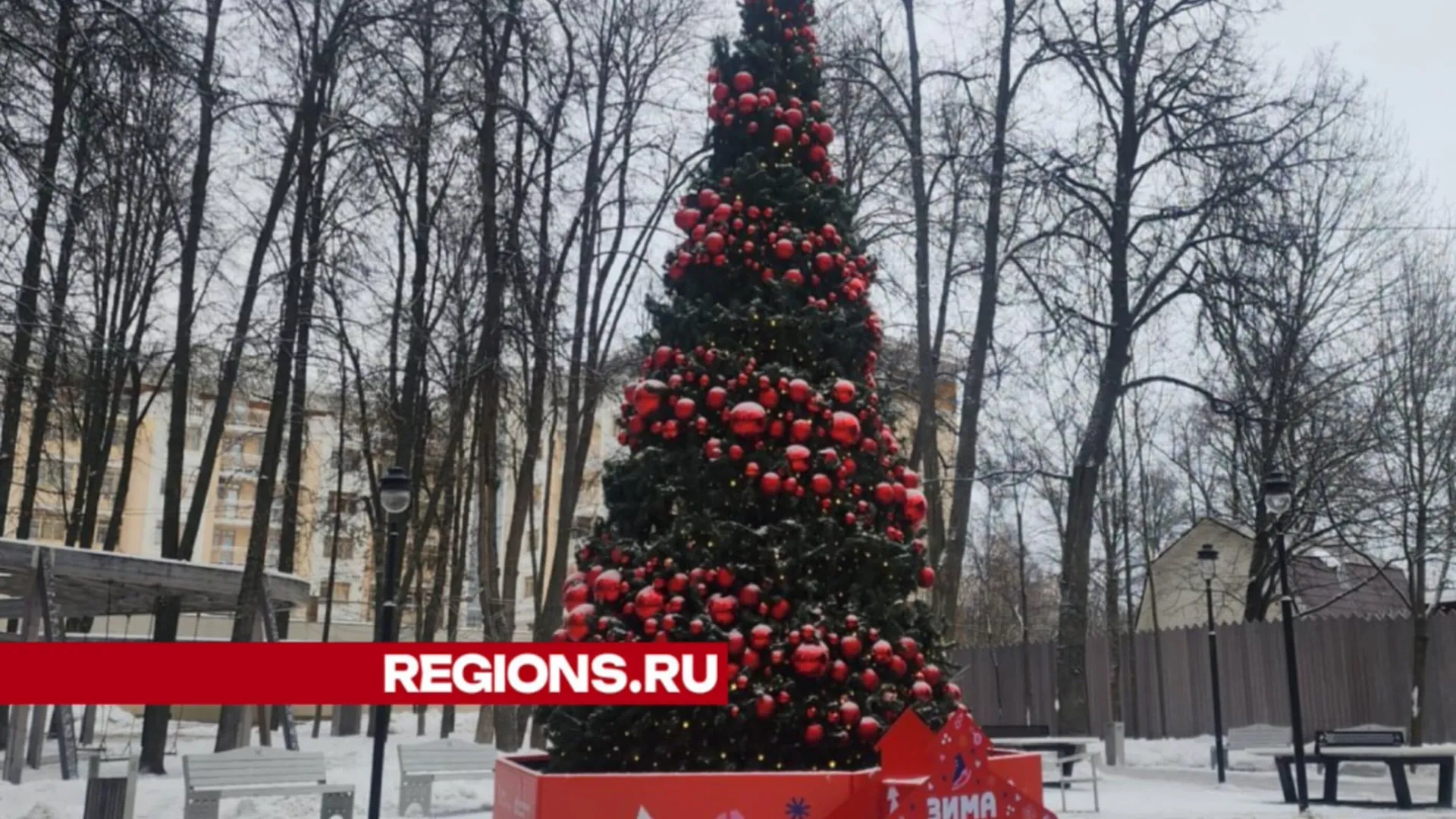 Фото: Хавива Фонина