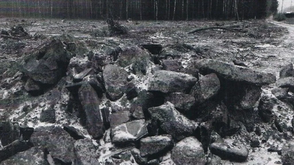 © Пресс-служба Комитета лесного хозяйства Московской области