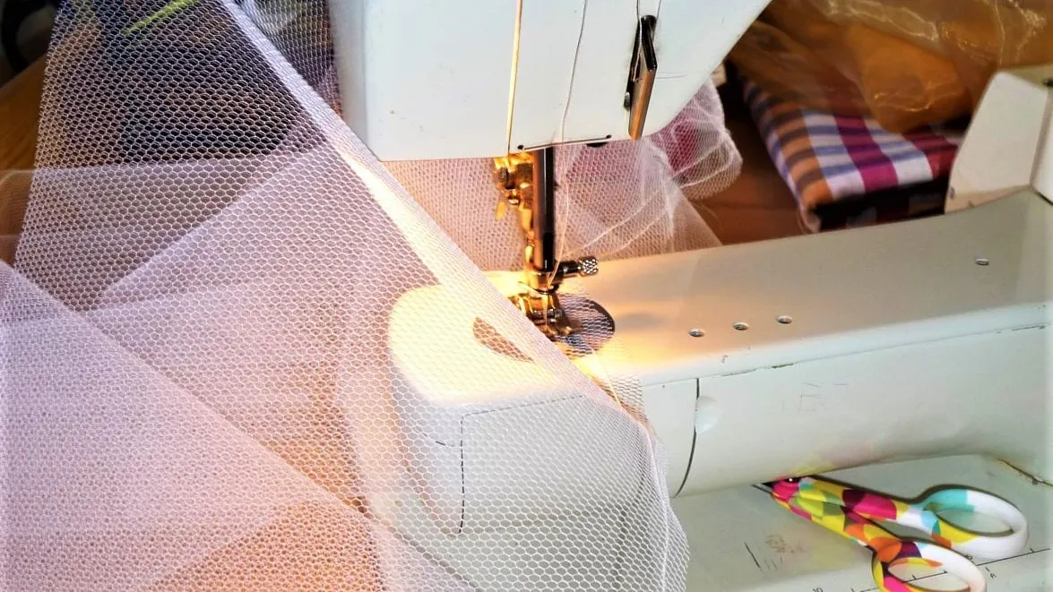 Фото: pxhere.com