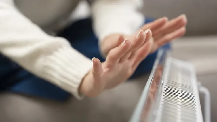 Фото: ru.freepik.com