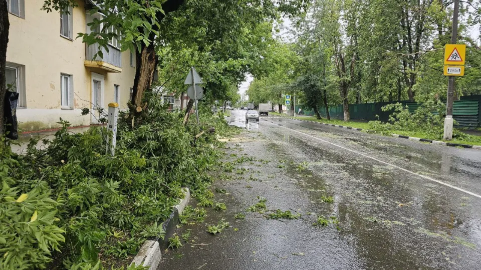 Фото: пресс-служба администрации г.о. Фрязино