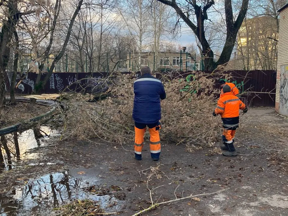 Фото: МЦУР Жуковский