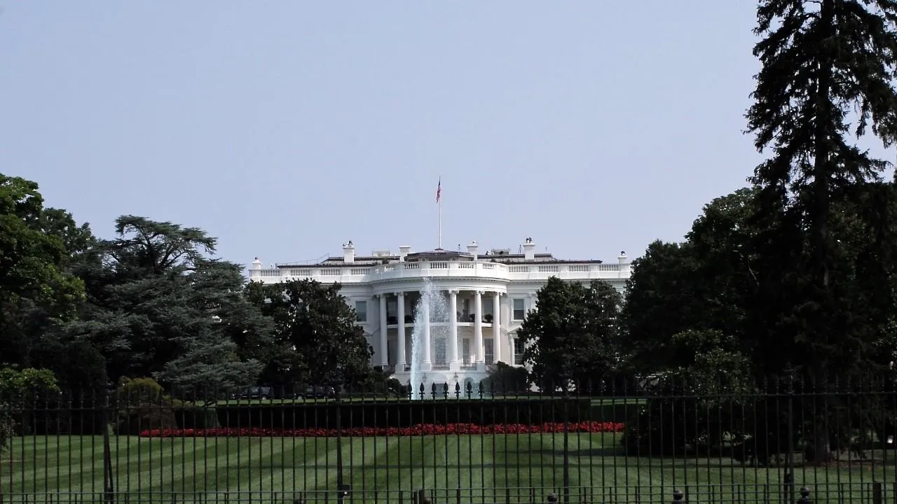 Бывший советник Трампа пообещал до его присяги выгнать Маска из Белого дома