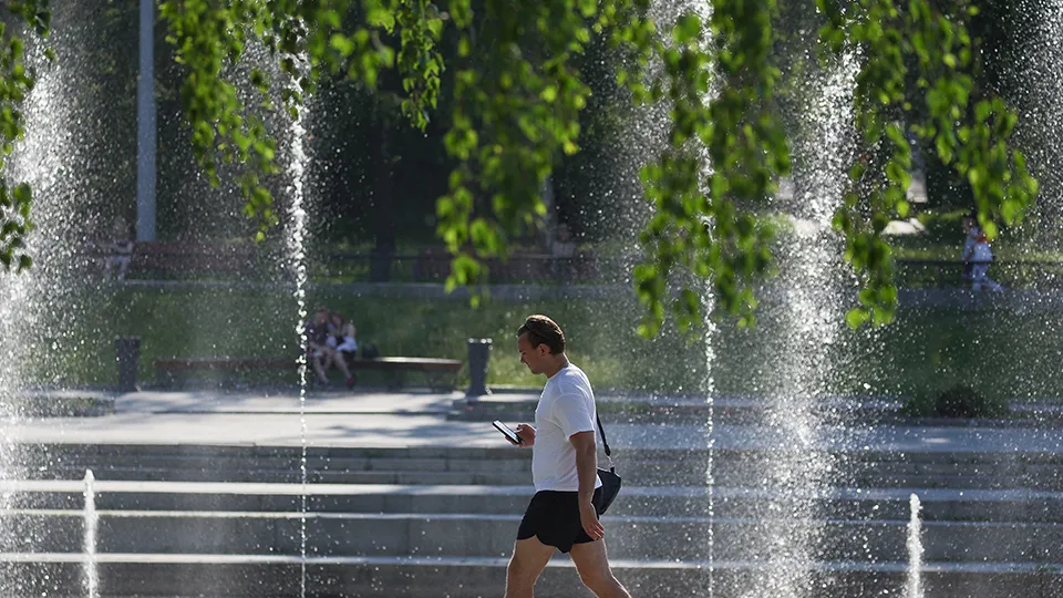 Фото: ТАСС/Донат Сорокин
