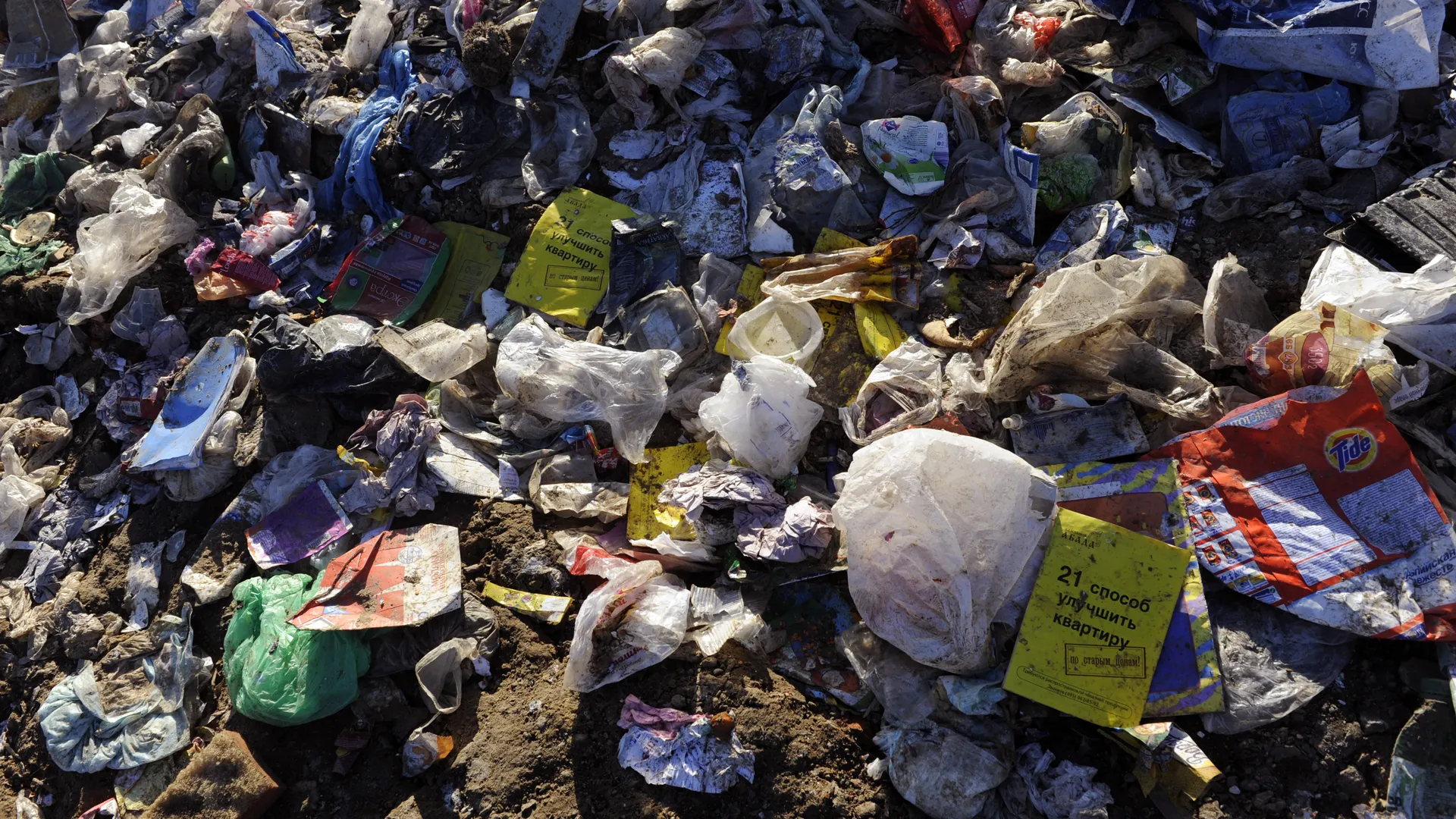 Автоледи из Подмосковья заставила сына закидать отходами соседку за «свое» место на парковке