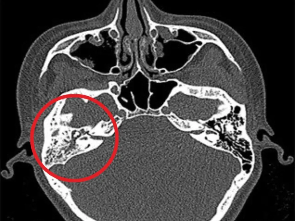 Фото:&nbsp;ДКЦ им. Л. М. Рошаля