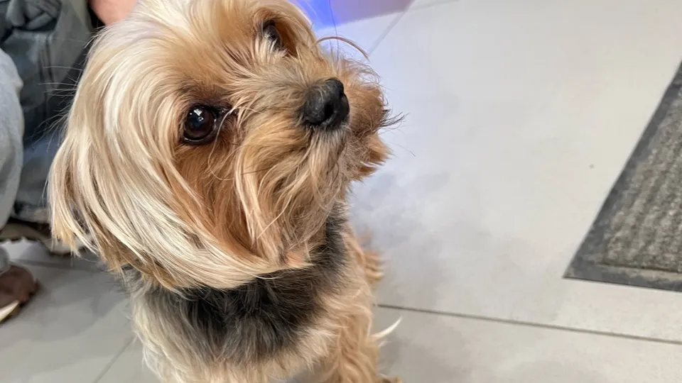 Фото: Наталья Иванова