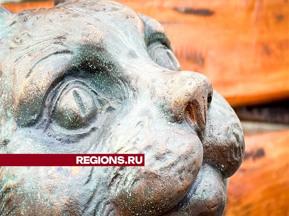 Фото: МедиаБанк Подмосковья/Данила Кирьянов&nbsp;