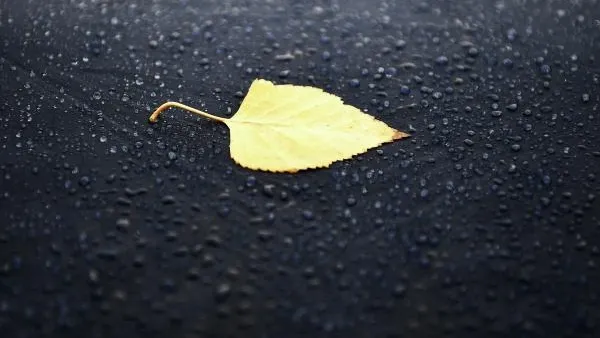 Сезонную депрессию можно побороть