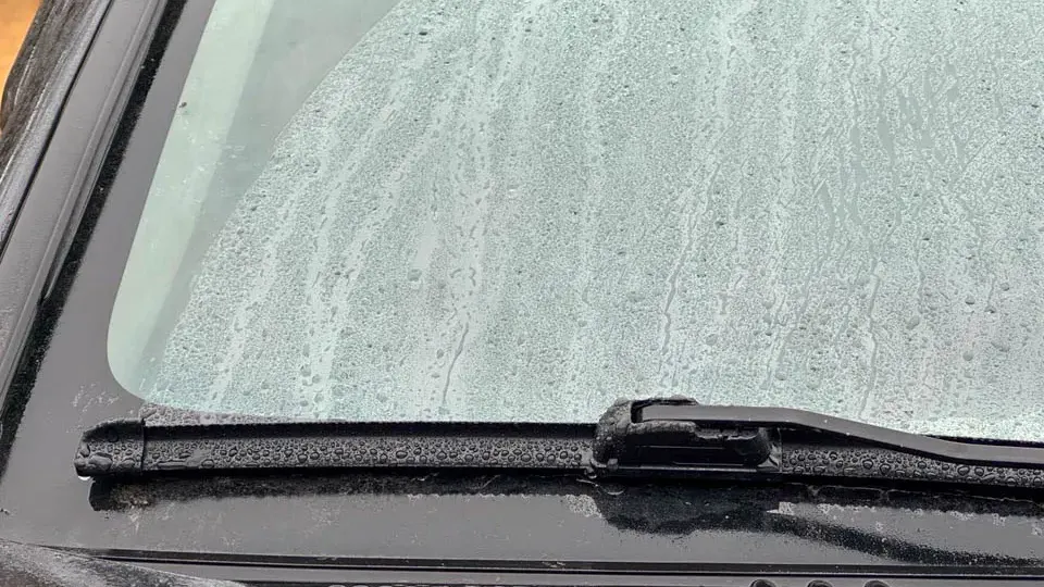 Фото: REGIONS/Владимир Ерастов