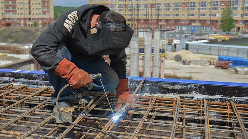 Павел Попов/Подмосковье Сегодня