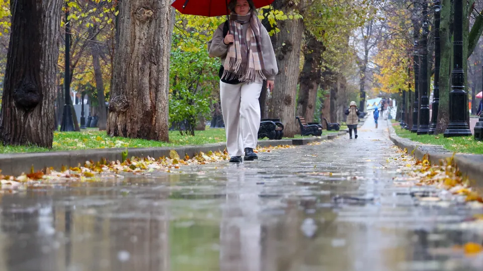 Фото: ТАСС/Валерий Шарифулин