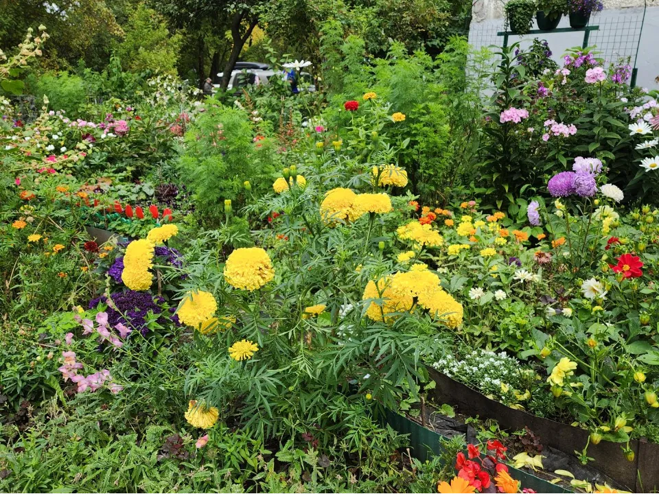 Фото: REGIONS/Артем Мишуков