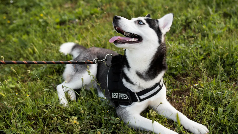 Фото: freepik.com