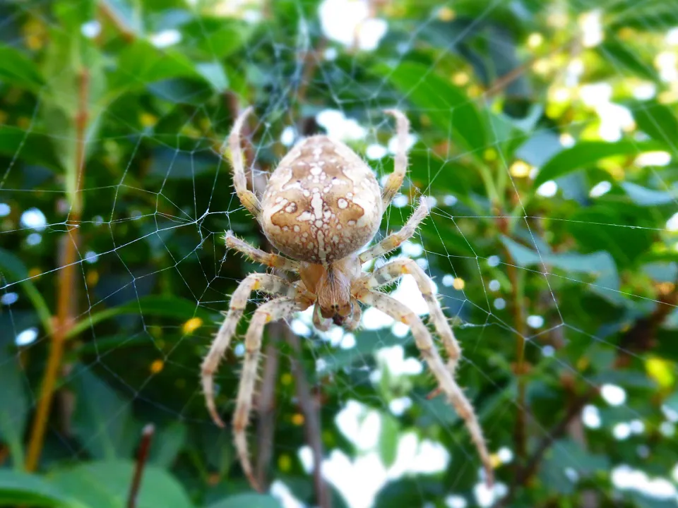 &nbsp; Фото: unsplash.com