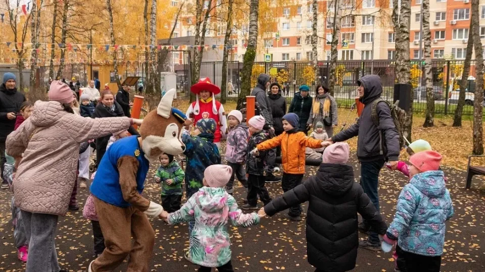 Фото: Парки г.о. Домодедово