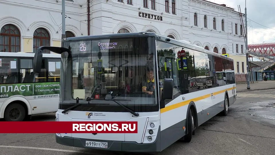 Фото: Александр Степушкин