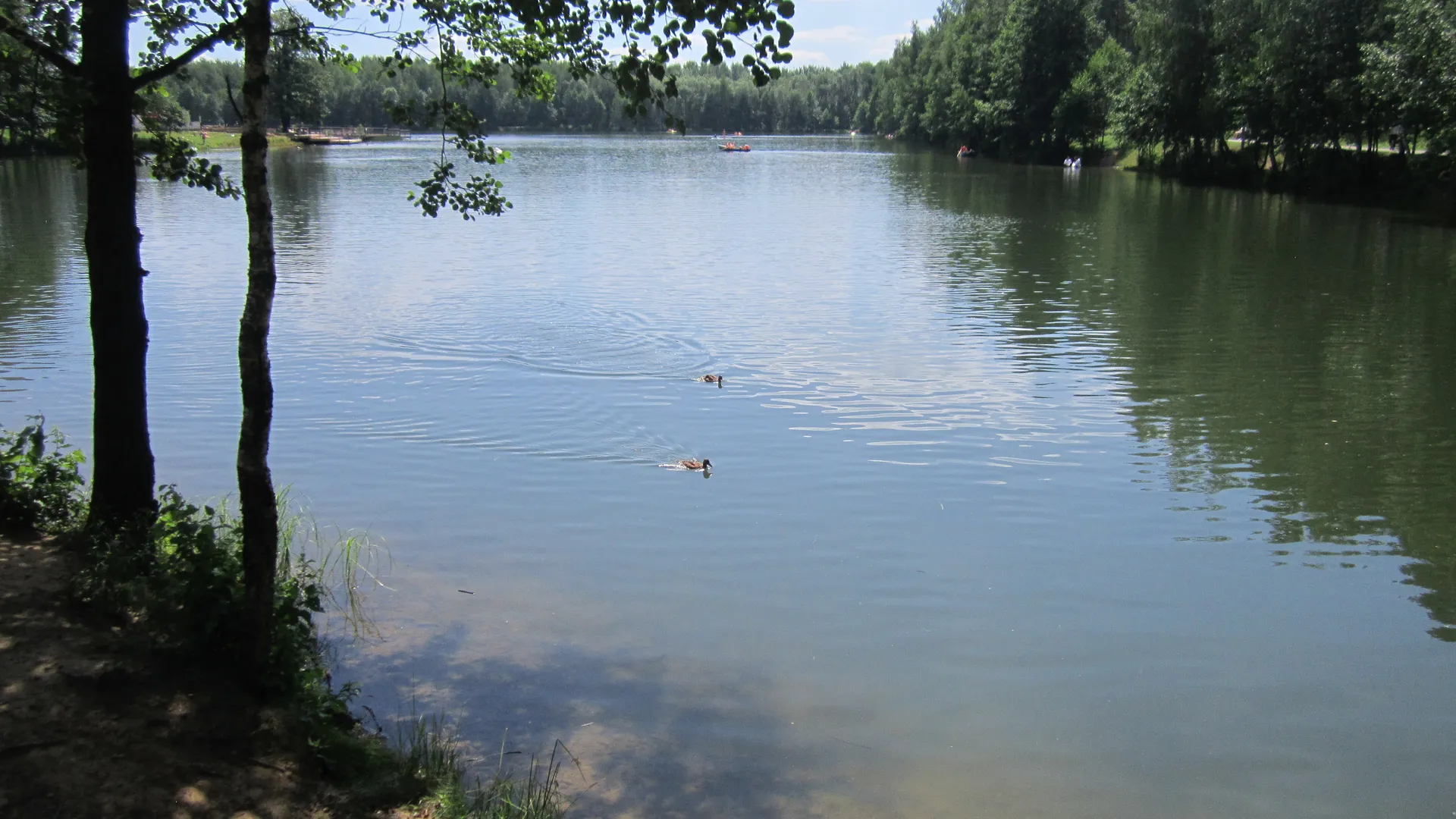 Фото: Олег Книжник