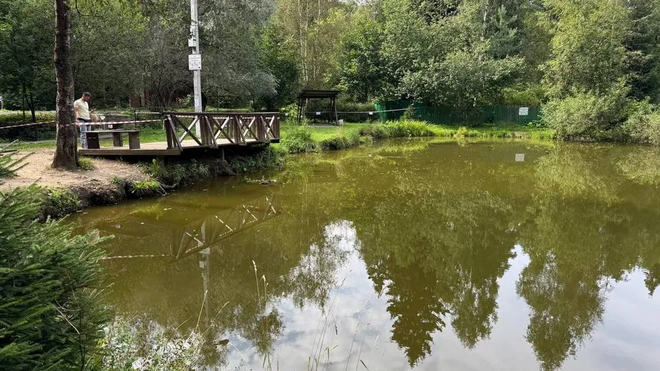 Фото: управление экологии городского округа Мытищи