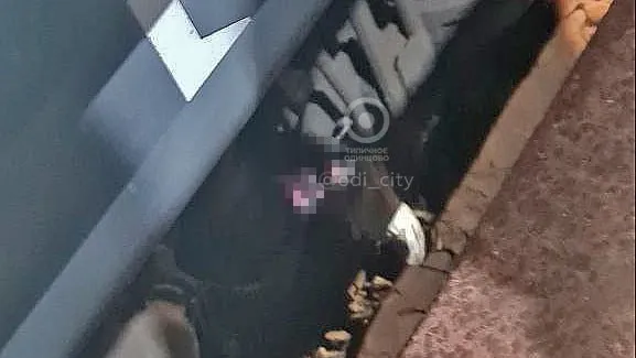 Фото: vk.com/Типичное Одинцово