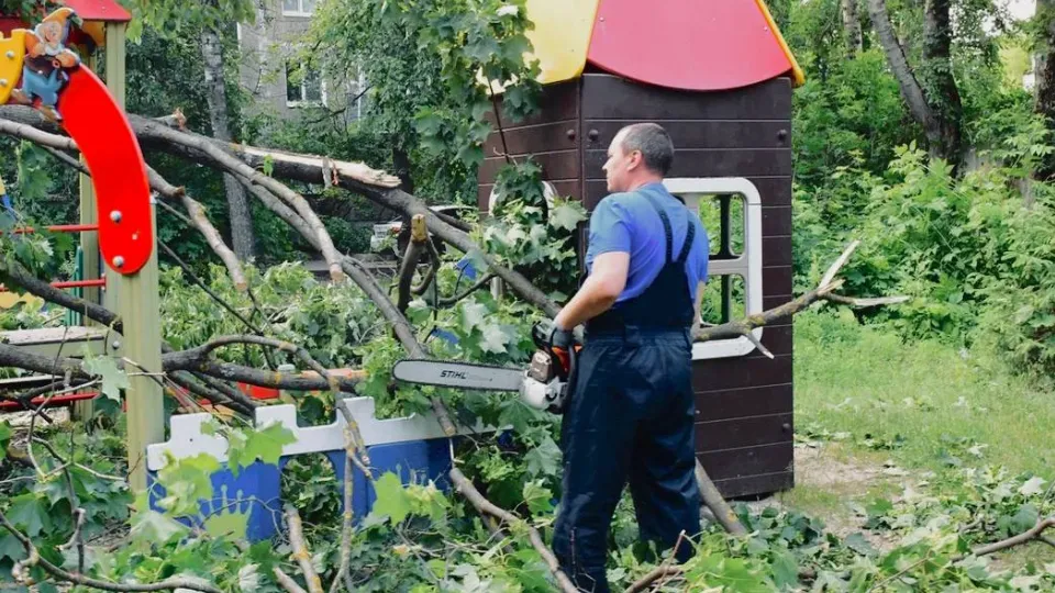 Фото: t.me/Pak_Andronik