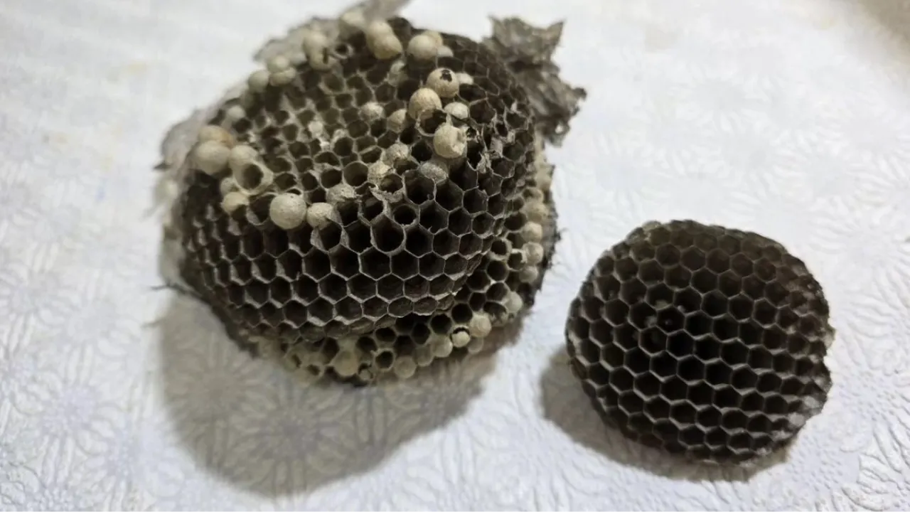 Городская доска объявлений