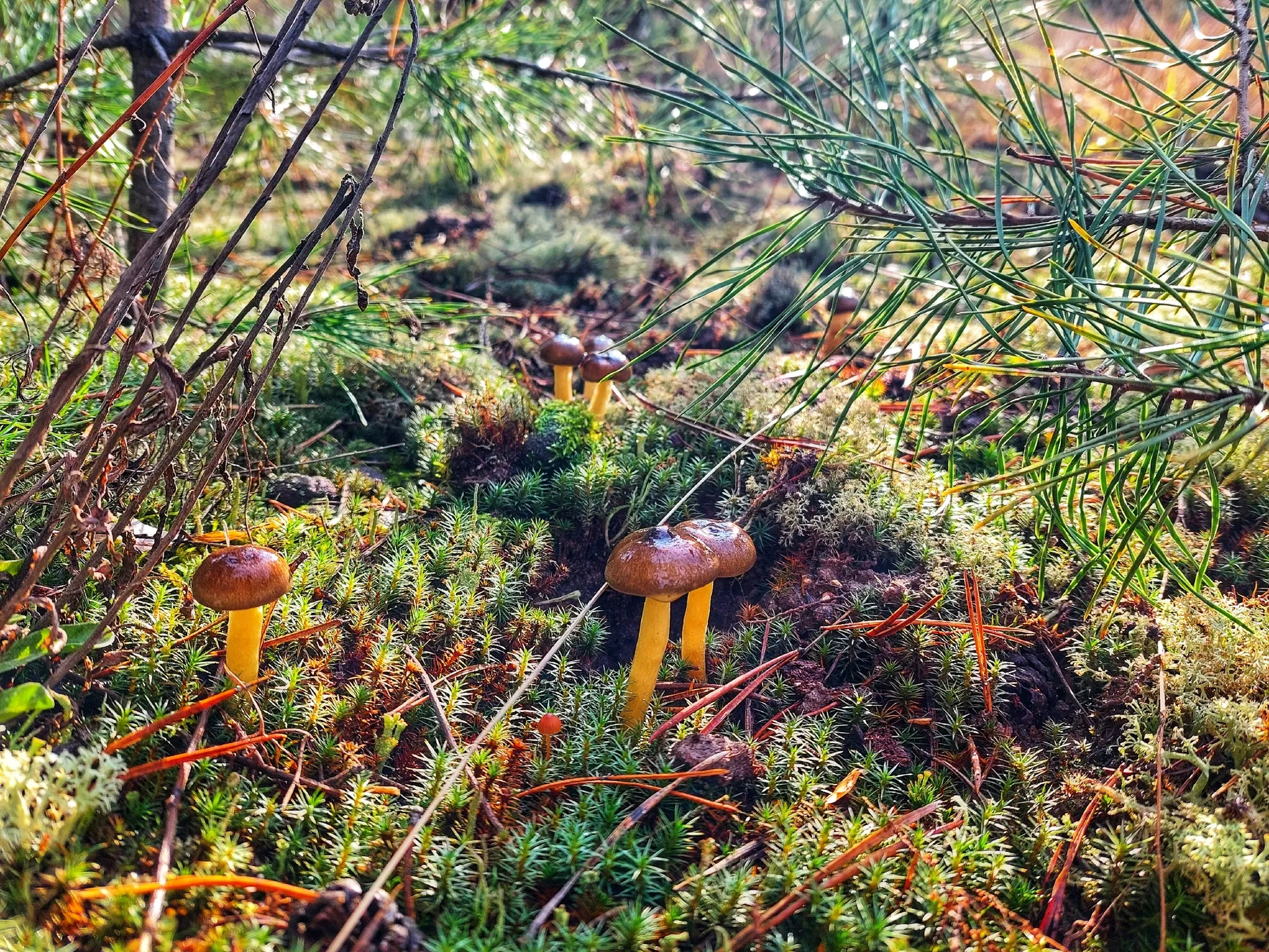 Фото: личный архив Василия Потапова