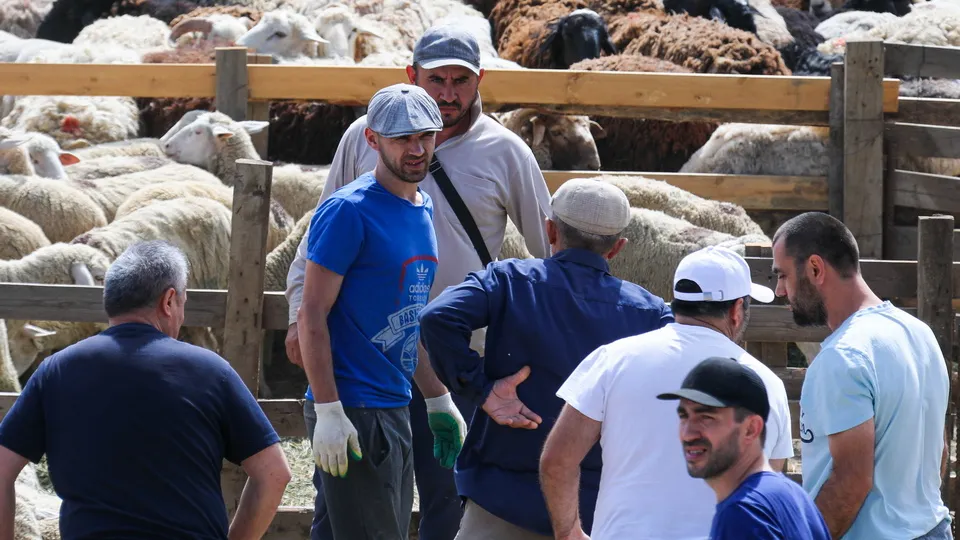 Фото: ТАСС/Муса Салгереев