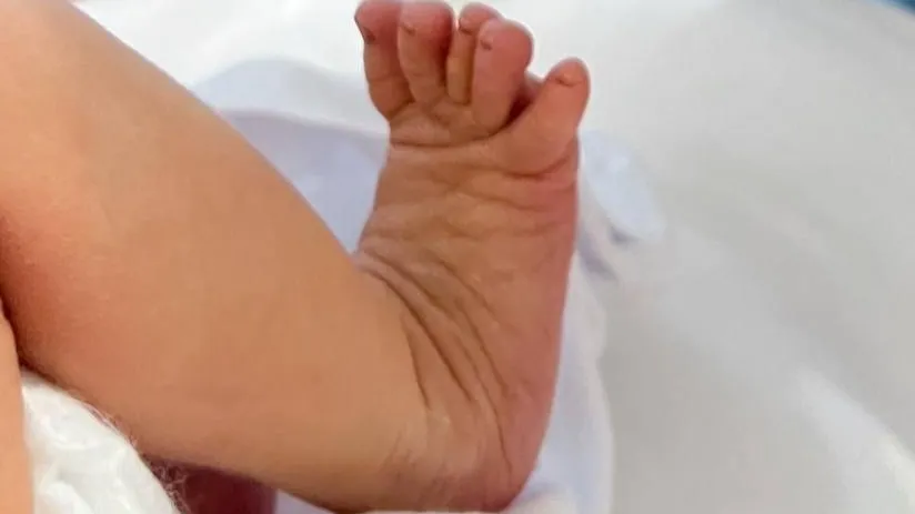 Фото: Минсоцразвития МО