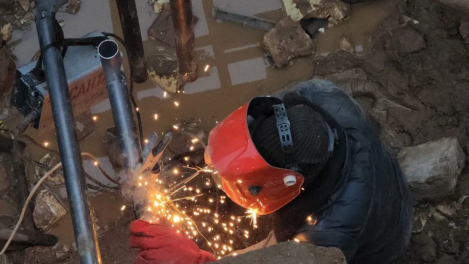 Фото: МедиаБанк Подмосковья/Валерия Тингаева