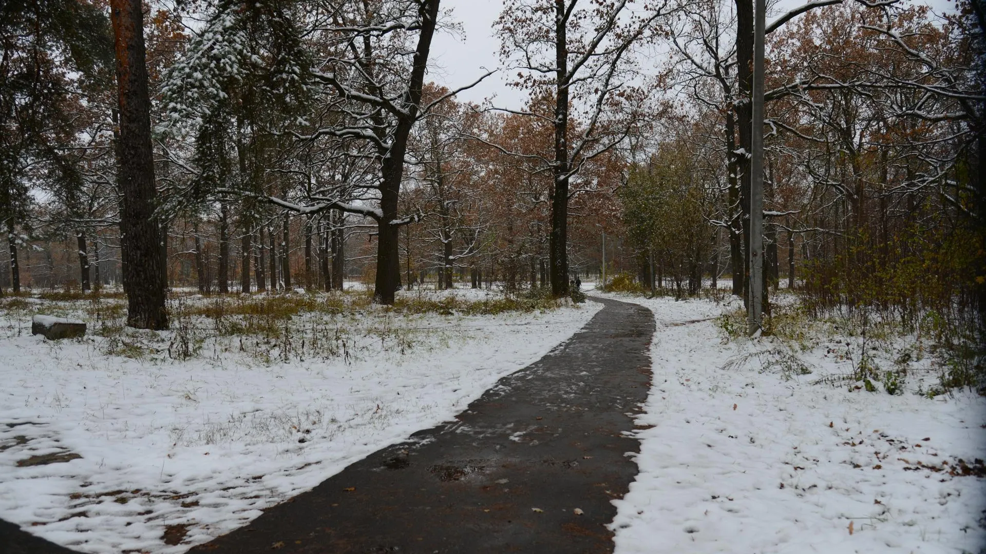 Елена Касакова